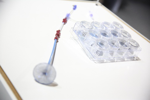 先性子心脏病缺损封堵装置