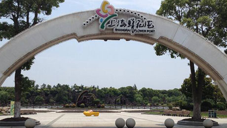 书院鲜花港